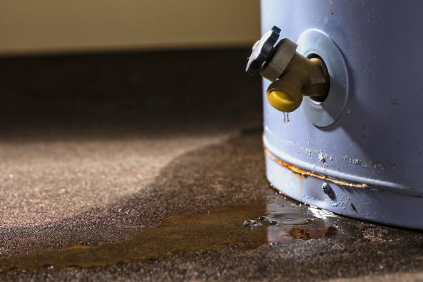 Best Water damage cleanup near me  in Tipton, IN