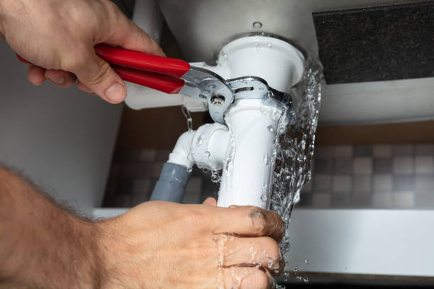 Best Water damage cleanup near me  in Tipton, IN