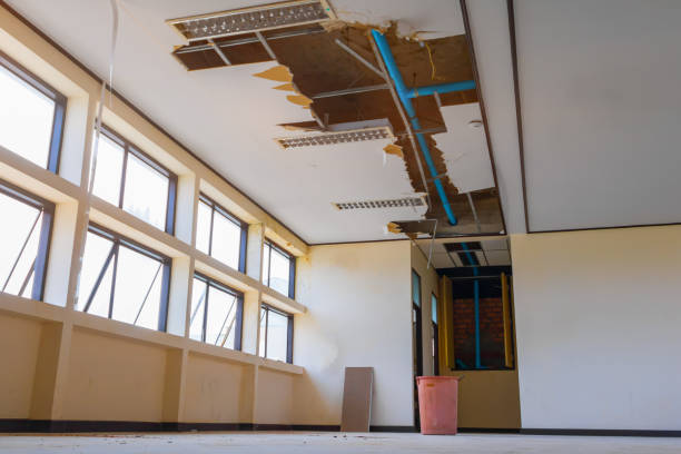 Best Professional water damage repair  in Tipton, IN