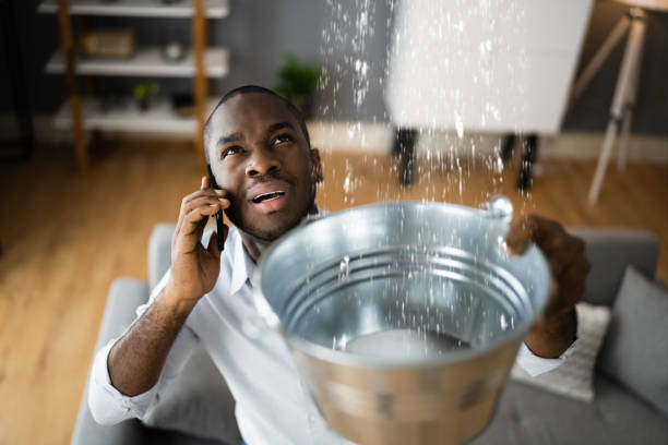 Best Basement water damage restoration  in Tipton, IN