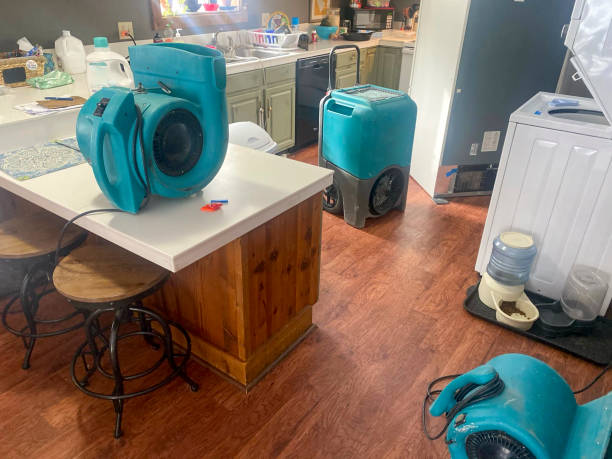 Best 24/7 water damage repair  in Tipton, IN